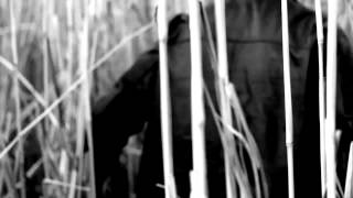 Tua - Folg Mir (Official Video)