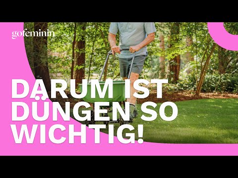 Rasen düngen: Wie oft im Jahr?