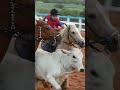 DE PAI PARA FILHO VAQUEJADA PARA STATUS 2022 Vaquejada