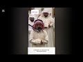 Young Boy Leads Muslims In Prayer Beautiful Quran Recitation Surah Al Hijr 1 50 Qari Osman Haddad