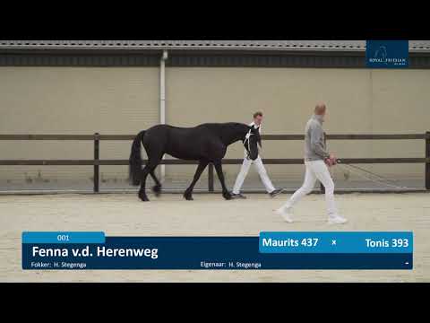 Locatiekeuring 29-5-2021 Stal fan de Kadyk