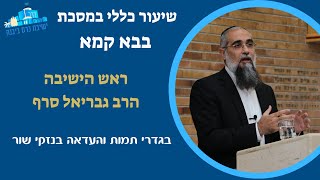 בגדרי תמות והעדאה בנזקי שור | הרב גבריאל סרף, ראש הישיבה (ישיבת כרם ביבנה) - התמונה מוצגת ישירות מתוך אתר האינטרנט יוטיוב. זכויות היוצרים בתמונה שייכות ליוצרה. קישור קרדיט למקור התוכן נמצא בתוך דף הסרטון