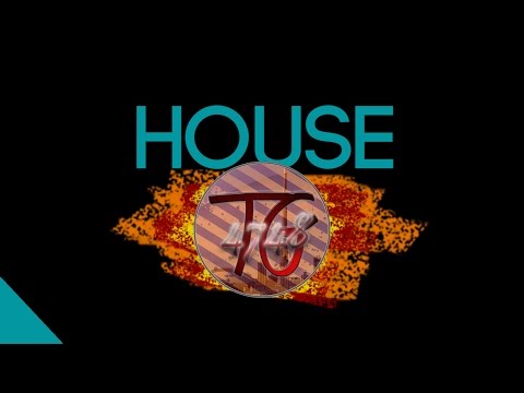 Disco's Over ft Lokka Vox - Reflections