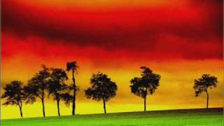 Matisyahu - Got No Water