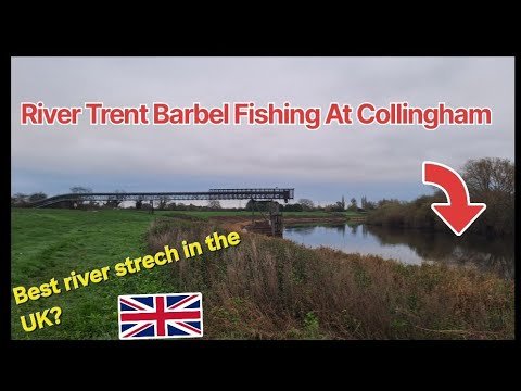 Barbel fishing the best place in the whole country! @River Trent @Collingham