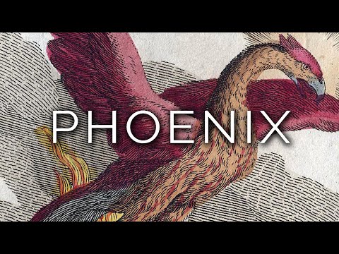 855-IT_PL Rita, PHOENIX - Ipnosi Esoterica ∞ Lucio Carsi