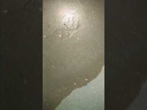 Travesía en Guatrache la Pampa parte número 2