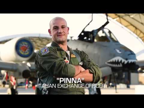 "Pinna" The Italian Exchange Officer