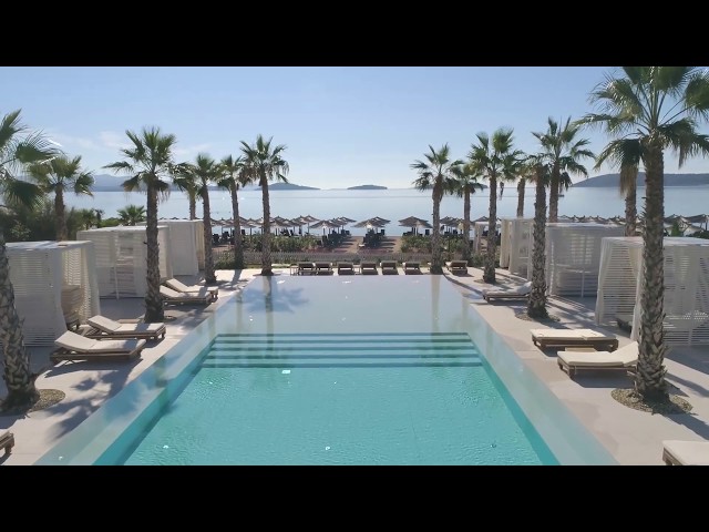 Video: Solaris Dalmatian Stars Homes