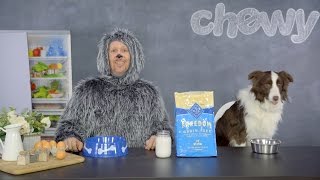 Blue Buffalo Freedom Dog Food | Chewy