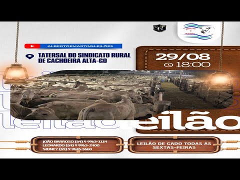 LEILÃO ALBERTO e MARTINS 29/08/2025 AS 18:00 hs em Cachoeira Alta Go.