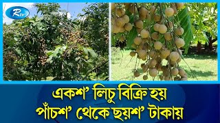 কাঠলিচু চাষ