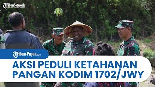 Kodim 1702JWY Gelar Kegiatan Peduli Ketahanan Pangan, Dandim Temani Petani Panen Padi
