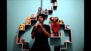 The Butterfly - Cruachan (Tin Whistle Cover)