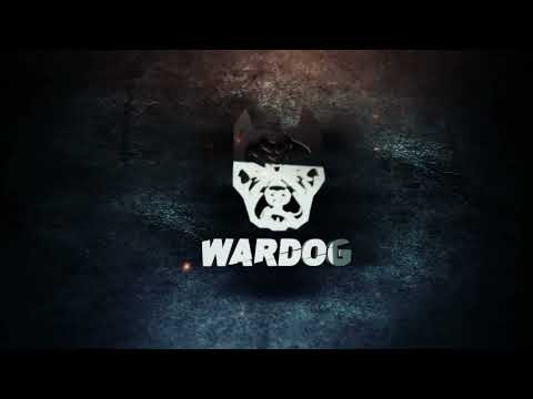 Dom Livez - No More Pain (Official Audio)