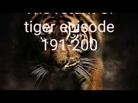 The_return_of_tiger_episode_191-200___the_return_of_tiger_all_episodes_free_🐯🐅_!_The_tiger_return