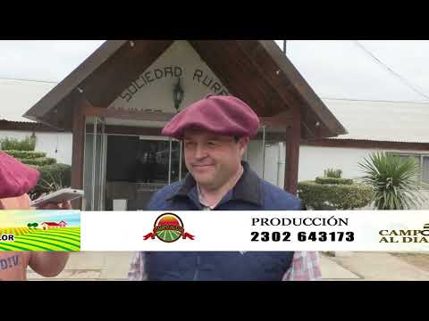 Hernán Suarez   Pampa Sur    Muy buenos valores en remate de Martín Lalor