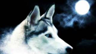 Carpathian forest-Cold Muderous Music