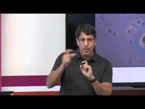 What is the Structure of Immunity Project | Naveen Jain & Reid Rubsamen