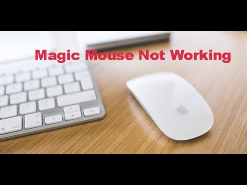 Cómo desinfectar un teclado, trackpad y ratón de Apple