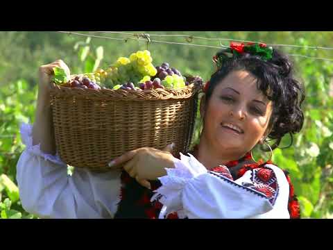 Daniela Han & Rapsodia - Sus pe deal în podgorie