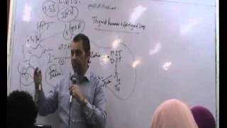 Dr Ahmed Abd Elrahman Pharma Revision Pt 11 {Endocrine 4}