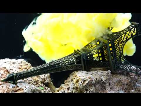 Seum Dero - You (Ft. Sergi Yaro) [Lyric Video]