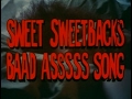 Sweet Sweetback S Baadasssss Song 1971 Trailer