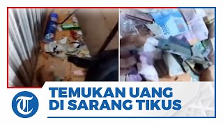 Viral Video Pasutri Kaget Temukan Uang Ratusan Ribu di Belakang Lemari, Ternyata Ulah Tikus