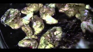 SOUL FOOD TV EPISODE 2