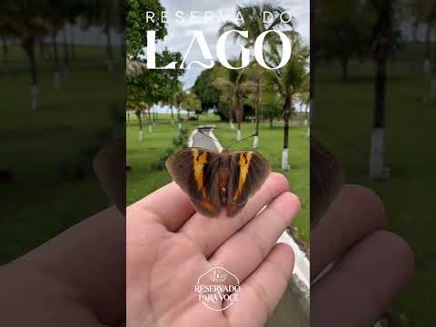 Transforme Sua Vida!#hidrolândia #goias #goiânia #aparecidadegoiania #Sonhos #shorts