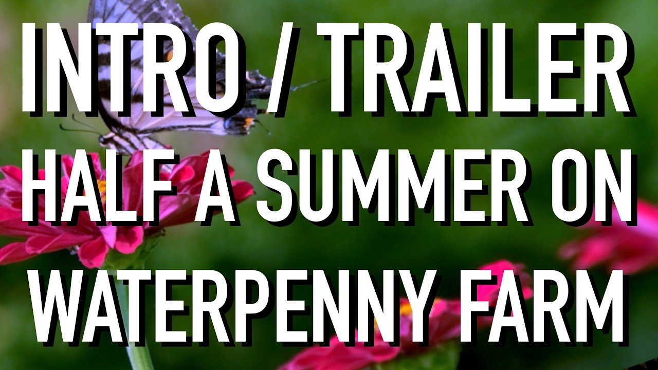 Half a Summer on Waterpenny Farm trailer