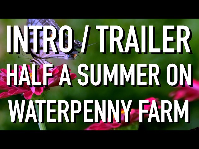 Trailer/Intro - Half a Summer on Waterpenny Farm