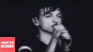 The Fall - Totally Wired (Live in New York, June 1981)