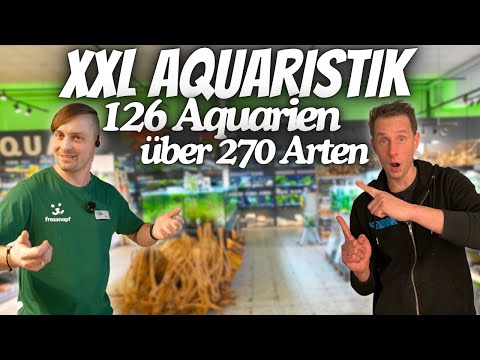 Riesige 12.000 Liter Aquaristik-Abteilung & Jede Menge SELTENE FISCHE