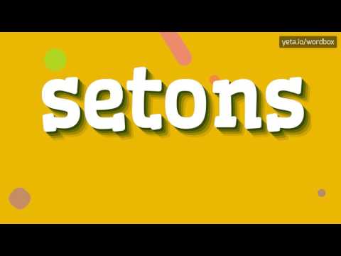SETONS - HOW TO PRONOUNCE IT!?