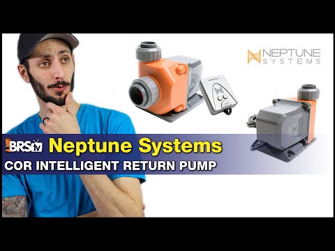 Neptune COR 20 Return Pump: No Apex needed! Our Best Return Pump of 2019.