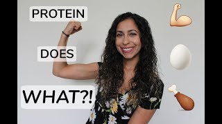 THE BASICS: PROTEIN | Christine The RD