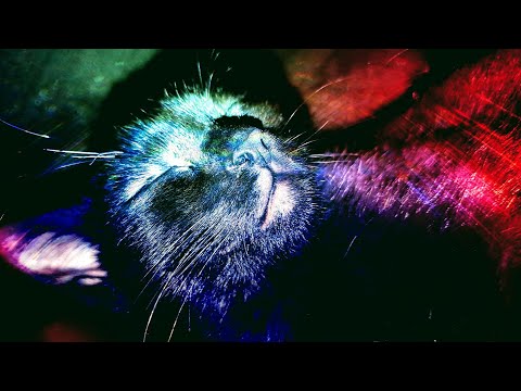 Liquid Drum & Bass Mix #23 - Ascend With Me [ Deep, Liquid & Rolling ]