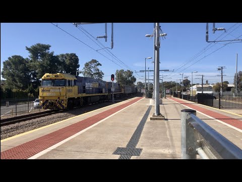 Pacific National Freight - 7PM5 - NR49, NR56