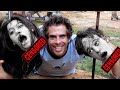 MANIACS Una Película Que NO Podrás Terminar Del ASCO Y MIEDO RESUMEN EN 14 MINUTOS