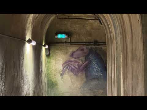 image : A la découverte des égouts de Paris