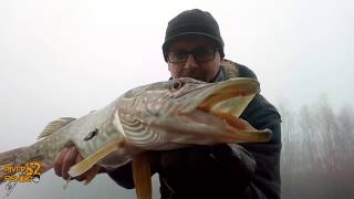 c'etait les leurres du jour