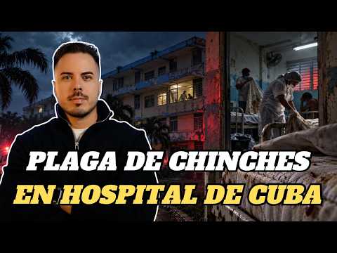 Chinches invaden hospital en Las Tunas y ni las fumigaciones logran frenarlas