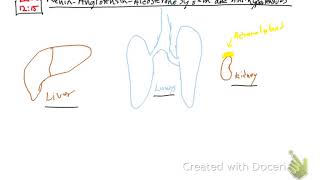 Renin-Angiotensin-Aldosterone System & Antihypertensives
