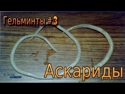 I vermi come portare di un organismo Boris Medvedev come sgomberare un organismo di parassiti