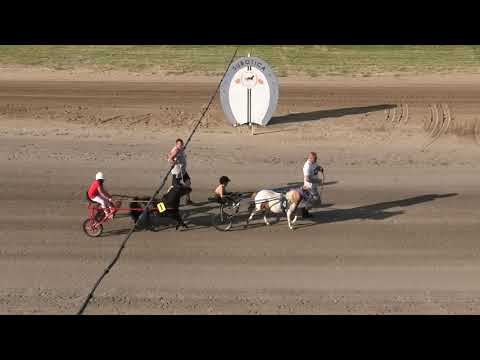 Trka poni konja 31.07.2021 Subotica
