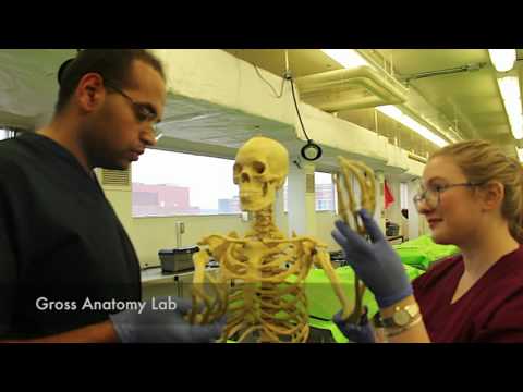 BUSM Mannequin Challenge