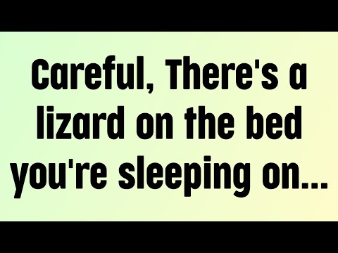 🌈God message today | Careful, There's a lizard on the bed you're sleeping on...|🙏