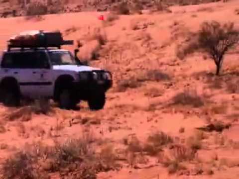 Tri State Safaris